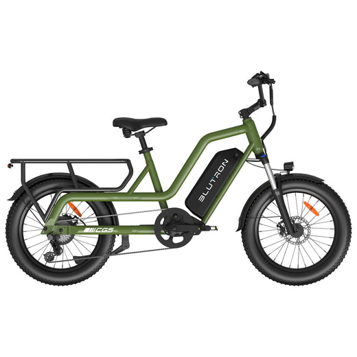 Blutron CG5 Cargo Electric Bike