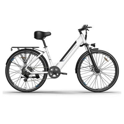 Blutron EB650 Electric Bike