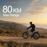 Blutron EB880 Fat Tire Ebike