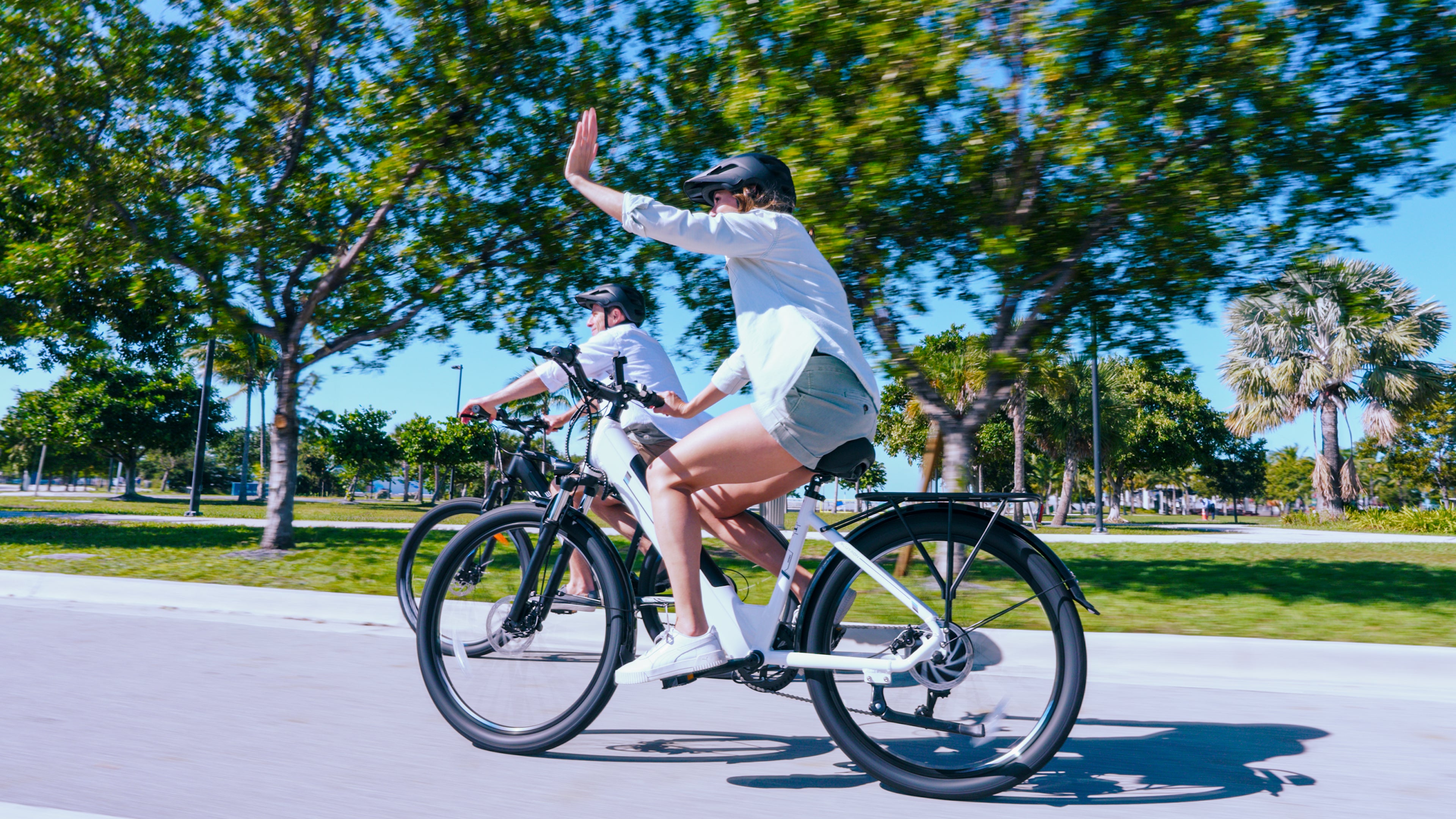 Blutron EB650 Electric Bike