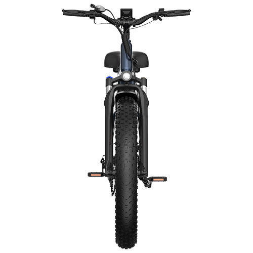 Blutron EB880S Fat Tire Ebike
