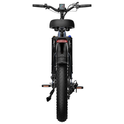 Blutron EB880S Fat Tire Ebike