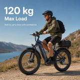 Blutron EB880 Fat Tire Ebike