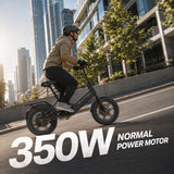 Blutron EB350F Folding Ebike