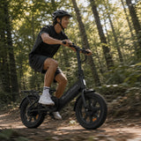 Blutron EB350F Folding Ebike