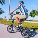 Helmeted rider cruises a Blutron folding ebike with torque sensor along a palm-lined paved path—fitted with rear cargo rack and taillight, set against green grass and a bright blue sky.