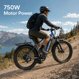 Blutron EB880 Fat Tire Ebike