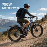 Blutron EB880S Fat Tire Ebike